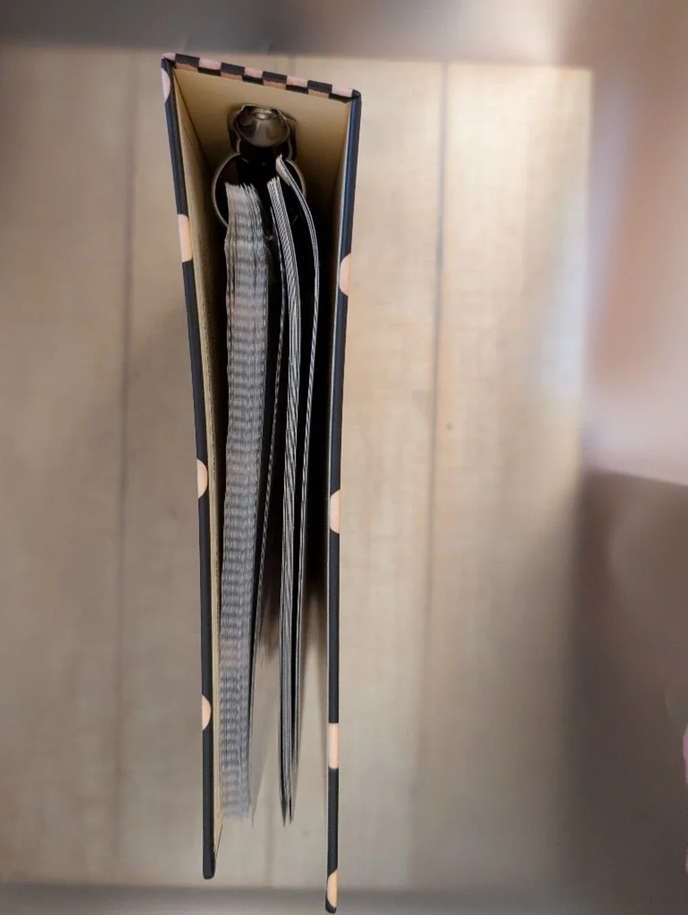 Unused Dan DiPaolo Recipe Binder